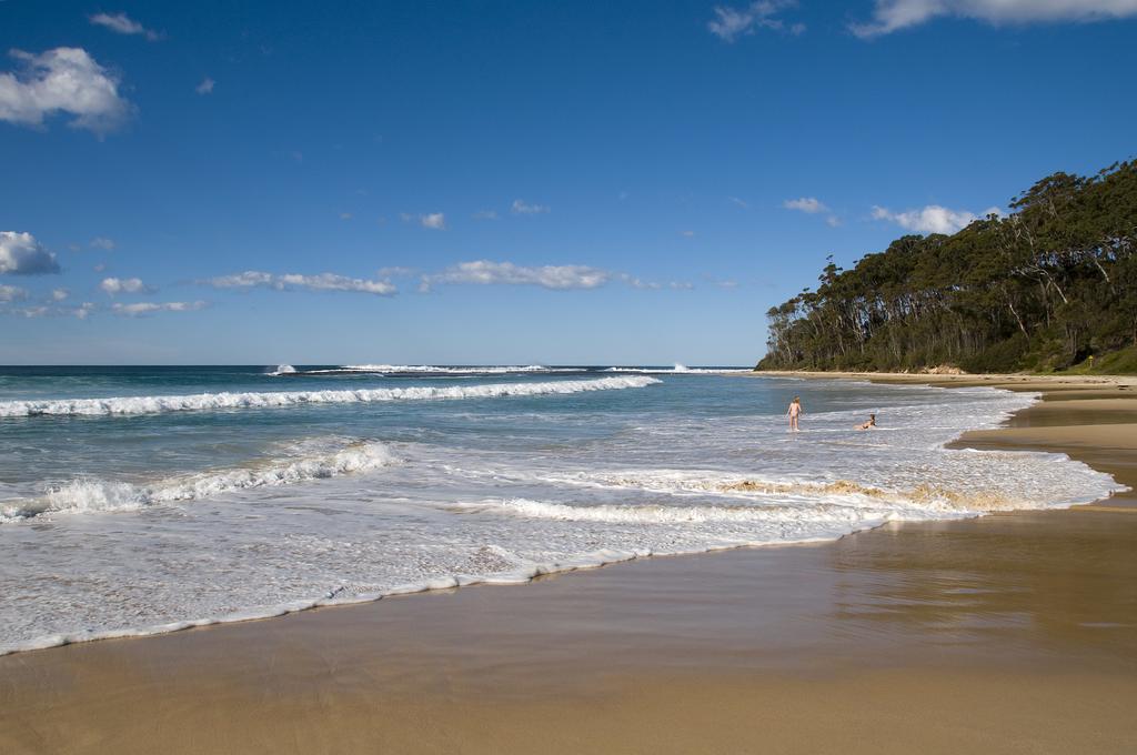 Dolphins Of Mollymook Motel Экстерьер фото